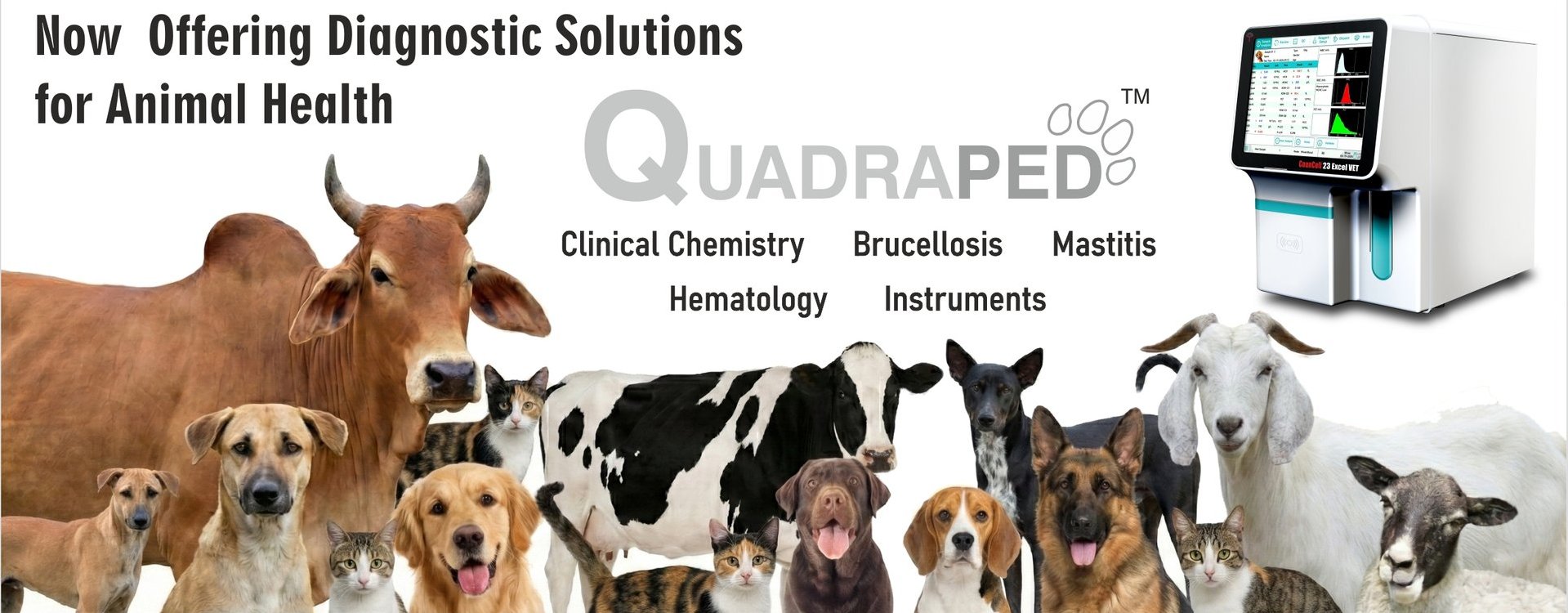 Quadraped Products - Quality Products with Value Addition