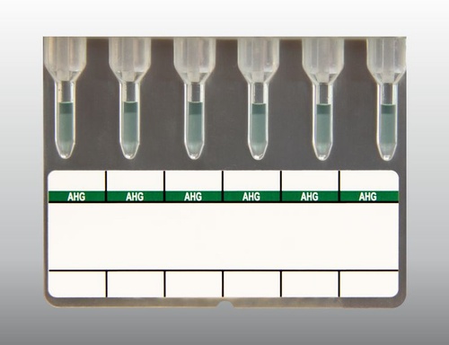 Matrix  AHG (Coombs) Test Card