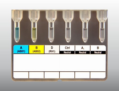 Matrix ABO/Rho(D) Forward and Reverse Grouping Card with Autocontrol 