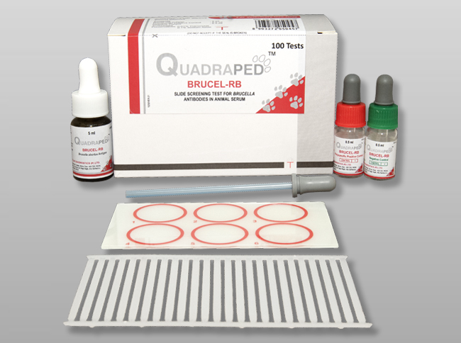 Slide Screening Test for Brucella Antibodies in Animal Serum