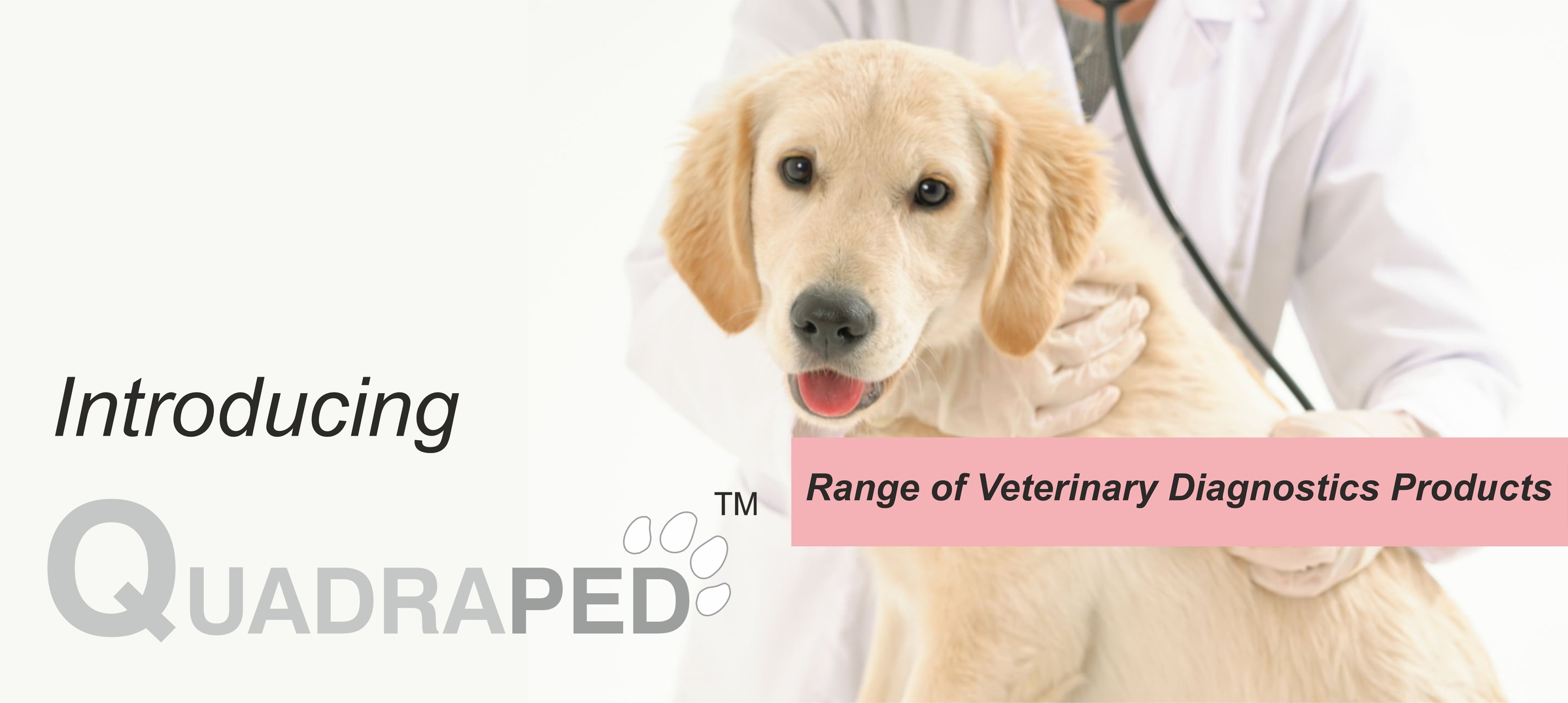 Veterinary Diagnostics